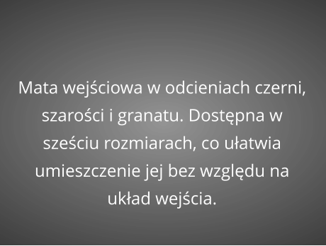 Mata wejściowa w odcieniach czerni, szarości i granatu. Dostępna w sześciu rozmiarach, co ułatwia umieszczenie jej bez względu na układ wejścia.